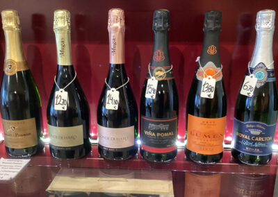 Local Sparking Selection at a Wine Bar in Haro, Spain